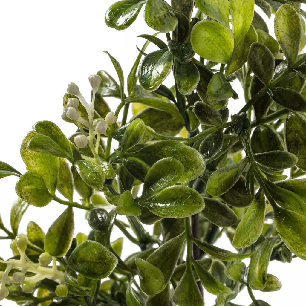 Coupon 💯 24 Pack: Green Boxwood Pick by Ashland® 😀 5 Coupon 💯 24 Pack: Green Boxwood Pick by Ashland® 😀 - Image 3