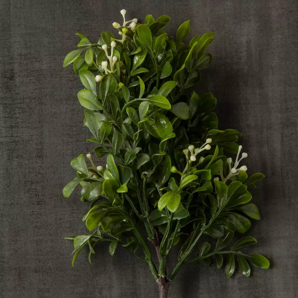 Coupon 💯 24 Pack: Green Boxwood Pick by Ashland® 😀 7 Coupon 💯 24 Pack: Green Boxwood Pick by Ashland® 😀 - Image 5