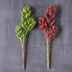 Flash Sale 👍 24 Pack: Assorted 3 Head Succulent Pick by Ashland® ❤️ -Ashland Sale Store MP546921 22