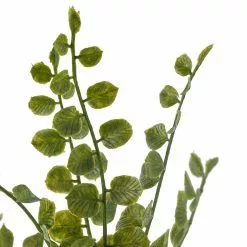 Cheap ✔️ 18 Pack: Assorted Fern Pick by Ashland® 👏 -Ashland Sale Store MP546923 20