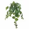 Deals 🧨 12 Pack: Hanging Philo Bush by Ashland® ⭐ -Ashland Sale Store MP547222 1