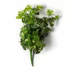 Best deal โค๏ธ 12 Pack: Split Hanging Philo Bush by Ashland® ๐ 9 Best deal โค๏ธ 12 Pack: Split Hanging Philo Bush by Ashland® ๐ -Ashland Sale Store MP547223 21