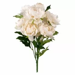 Cheapest 🔥 12 Pack: Cream Peony Bush by Ashland® 🧨