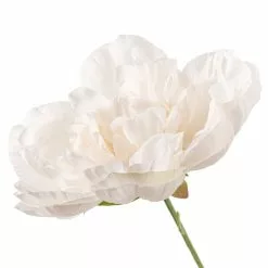Cheapest 🔥 12 Pack: Cream Peony Bush by Ashland® 🧨 -Ashland Sale Store MP547348 20