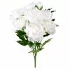 New 😍 12 Pack: White Peony Bush by Ashland® 🤩 -Ashland Sale Store MP547350 1