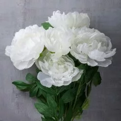 New 😍 12 Pack: White Peony Bush by Ashland® 🤩 9 New 😍 12 Pack: White Peony Bush by Ashland® 🤩 -Ashland Sale Store MP547350 22