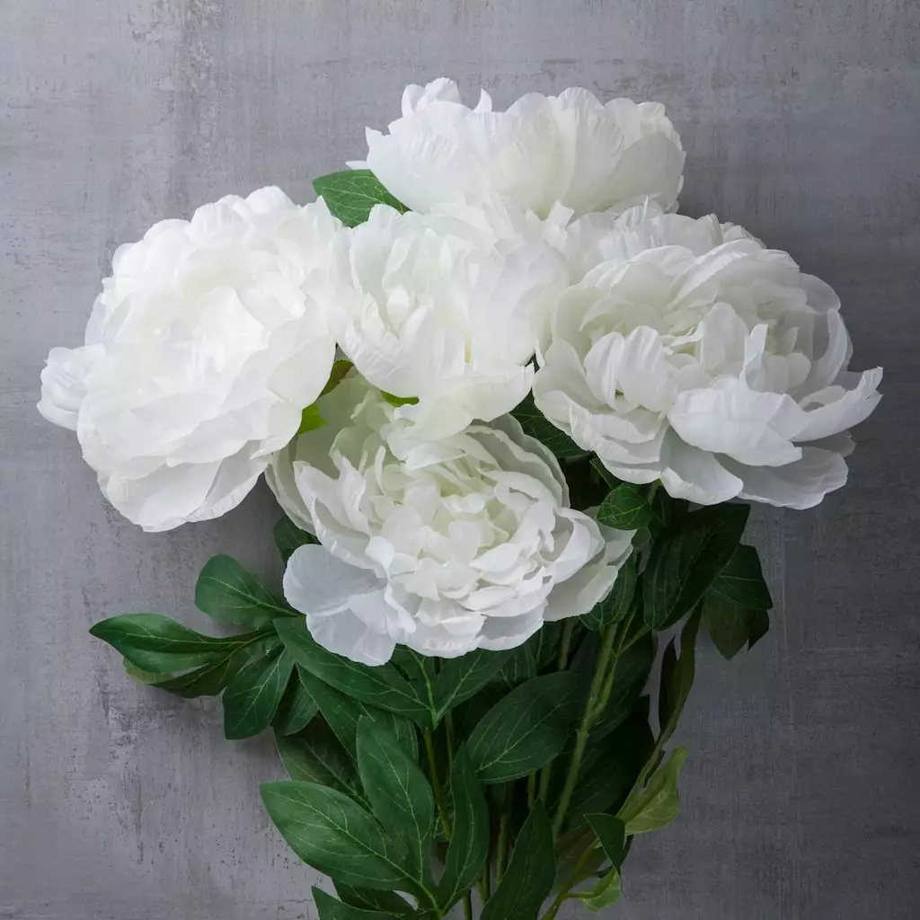New 😍 12 Pack: White Peony Bush by Ashland® 🤩 5 New 😍 12 Pack: White Peony Bush by Ashland® 🤩 - Image 3