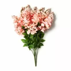 Best Sale 🤩 12 Pack: Coral Wisteria Bush by Ashland® 👍 -Ashland Sale Store MP547397 21