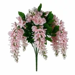Top 10 🌟 12 Pack: Pink Wisteria Bush by Ashland® ✔️