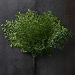 Buy 💯 12 Pack: Forest Fern Bush by Ashland® 💯 9 Buy 💯 12 Pack: Forest Fern Bush by Ashland® 💯 -Ashland Sale Store MP547457 22