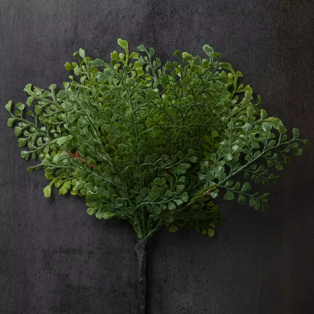 Buy 💯 12 Pack: Forest Fern Bush by Ashland® 💯 5 Buy 💯 12 Pack: Forest Fern Bush by Ashland® 💯 - Image 3