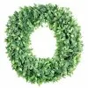 Hot Sale 🔔 12 Pack: 20" Foliage Wreath by Ashland® 🧨 2 Hot Sale 🔔 12 Pack: 20" Foliage Wreath by Ashland® 🧨 -Ashland Sale Store MP547486 1