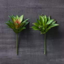 Deals 🎉 12 Pack: Assorted Agave Pick by Ashland® 😀 15 Deals 🎉 12 Pack: Assorted Agave Pick by Ashland® 😀 -Ashland Sale Store MP547490 22