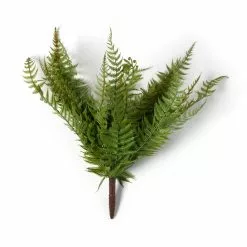 Cheapest 🔔 8 Pack: Green Boston Fern Bush by Ashland® 🌟 -Ashland Sale Store MP547493 21