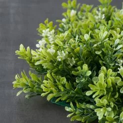 Hot Sale ⌛ 8 Pack: Green Boxwood Bush by Ashland® 😀 -Ashland Sale Store MP547534 25