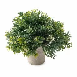 Budget ❤️ 6 Pack: Premade Boxwood Bush by Ashland® 🎁 -Ashland Sale Store MP547538 21