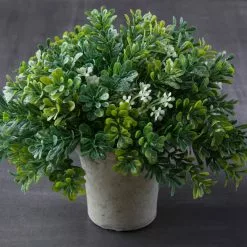 Budget ❤️ 6 Pack: Premade Boxwood Bush by Ashland® 🎁 -Ashland Sale Store MP547538 22