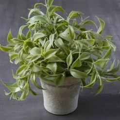 Flash Sale ✨ 6 Pack: Premade Soft Plastic Leaves Bush by Ashland® ✨ -Ashland Sale Store MP547545 22