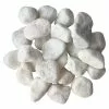 Best Sale ⭐ 12 Pack: White Marble Rocks by Ashland™ ❤️ -Ashland Sale Store MP556694 31
