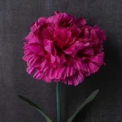 Best Sale 🤩 24 Pack: Hot Pink Carnation Stem by Ashland® 💯 -Ashland Sale Store MP626417 22