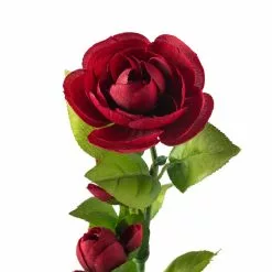 Promo 🎁 12 Pack: Burgundy Ranunculus Spray by Ashland® ⭐ 11 Promo 🎁 12 Pack: Burgundy Ranunculus Spray by Ashland® ⭐ -Ashland Sale Store MP626427 20