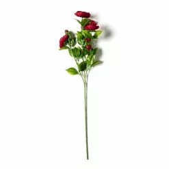 Promo 🎁 12 Pack: Burgundy Ranunculus Spray by Ashland® ⭐ 13 Promo 🎁 12 Pack: Burgundy Ranunculus Spray by Ashland® ⭐ -Ashland Sale Store MP626427 21