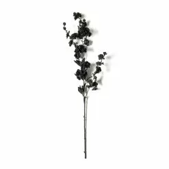 Flash Sale 🔥 12 Pack: Black Blossom Spray by Ashland® 🌟 -Ashland Sale Store MP626437 21