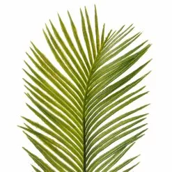 Buy 🔔 12 Pack: Green Sago Palm Spray by Ashland® 👏 -Ashland Sale Store MP626443 20