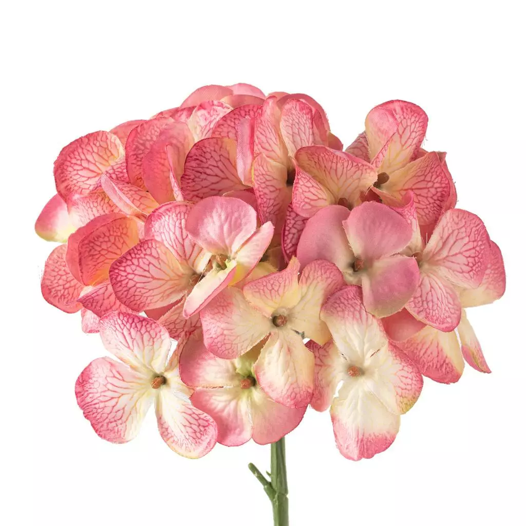 Hot Sale ๐งจ 12 Pack: Mauve Hydrangea Stem by Ashland® ๐ 6 Hot Sale ๐งจ 12 Pack: Mauve Hydrangea Stem by Ashland® ๐ - Image 4