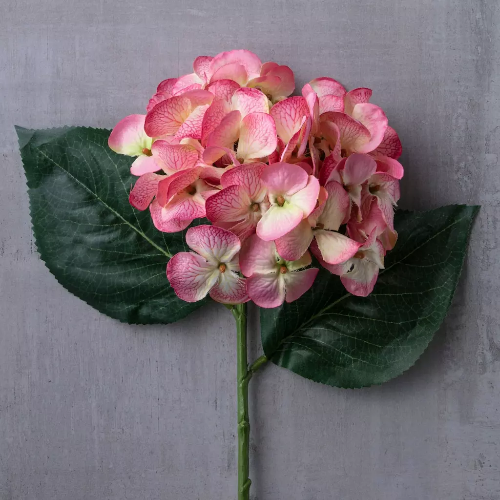 Hot Sale ๐งจ 12 Pack: Mauve Hydrangea Stem by Ashland® ๐ 5 Hot Sale ๐งจ 12 Pack: Mauve Hydrangea Stem by Ashland® ๐ - Image 3