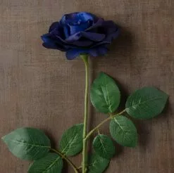 Cheap ⌛ 12 Pack: Navy Princess Rose Stem by Ashland® 🛒 -Ashland Sale Store MP626447 25