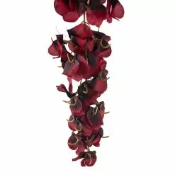 Hot Sale 🎉 12 Pack: Burgundy Wisteria Stem by Ashland® 🎉 -Ashland Sale Store MP626453 20