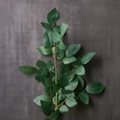 Top 10 🤩 12 Pack: Rose Leaf Stem by Ashland® 🧨 -Ashland Sale Store MP626471 22