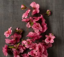 Brand new ❤️ 12 Pack: Mauve Peach Blossom Spray by Ashland® 🎁 -Ashland Sale Store MP626479 25