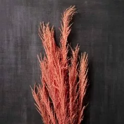 Best deal ๐ 6 Pack: Peach Pampas Grass Stem by Ashland® ๐ 13 Best deal ๐ 6 Pack: Peach Pampas Grass Stem by Ashland® ๐ -Ashland Sale Store MP626520 22