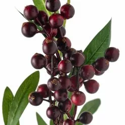 New 🤩 12 Pack: Burgundy Berry Stem by Ashland® 😀 -Ashland Sale Store MP626525 20