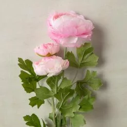 Coupon ✨ 12 Pack: Pink Ranunculus Spray by Ashland® ✔️ -Ashland Sale Store MP626529 25