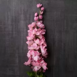 Best reviews of ✔️ 12 Pack: Pink Larkspur Stem by Ashland® ⌛ -Ashland Sale Store MP626562 22