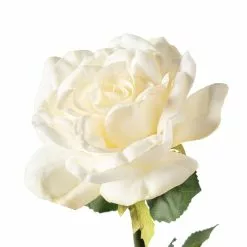 Deals 😀 6 Pack: White Rose Stem by Ashland® ✔️ -Ashland Sale Store MP626862 20
