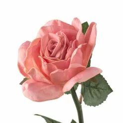Discount 👍 6 Pack: Blush Rose Stem by Ashland® 🔔 11 Discount 👍 6 Pack: Blush Rose Stem by Ashland® 🔔 -Ashland Sale Store MP626864 20