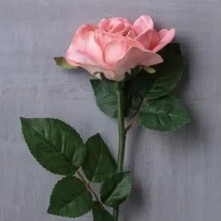 Discount 👍 6 Pack: Blush Rose Stem by Ashland® 🔔 12 Discount 👍 6 Pack: Blush Rose Stem by Ashland® 🔔 -Ashland Sale Store MP626864 22