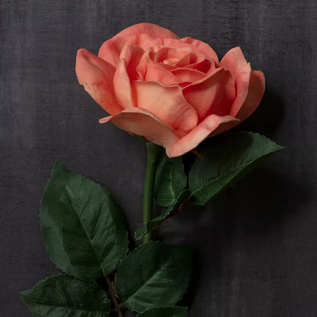 Top 10 ❤️ 6 Pack: Coral Rose Stem by Ashland® ⌛ 6 Top 10 ❤️ 6 Pack: Coral Rose Stem by Ashland® ⌛ - Image 4