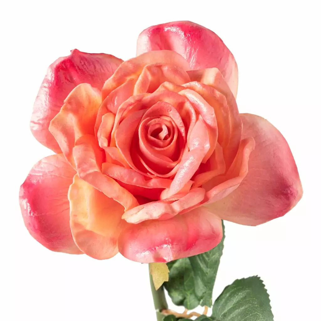 Promo ๐ 6 Pack: Pink Rose Stem by Ashland® โ 6 Promo ๐ 6 Pack: Pink Rose Stem by Ashland® โ - Image 4