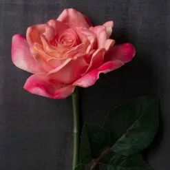 Promo ๐ 6 Pack: Pink Rose Stem by Ashland® โ 12 Promo ๐ 6 Pack: Pink Rose Stem by Ashland® โ -Ashland Sale Store MP626868 22