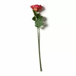 Best Sale ⌛ 6 Pack: Fuchsia Rose Stem by Ashland® ⌛ 12 Best Sale ⌛ 6 Pack: Fuchsia Rose Stem by Ashland® ⌛ -Ashland Sale Store MP626870 21