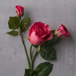 Best Sale 🔥 6 Pack: Fuchsia Rose Spray by Ashland® 😀 -Ashland Sale Store MP626878 22