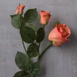 Wholesale ✨ 6 Pack: Coral Rose Spray by Ashland® ✨ 13 Wholesale ✨ 6 Pack: Coral Rose Spray by Ashland® ✨ -Ashland Sale Store MP626880 22