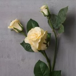 New 🔥 6 Pack: White Rose Spray by Ashland® 😉 12 New 🔥 6 Pack: White Rose Spray by Ashland® 😉 -Ashland Sale Store MP626882 22