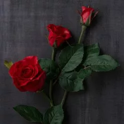 Deals 👏 6 Pack: Red Rose Spray by Ashland® 🛒 13 Deals 👏 6 Pack: Red Rose Spray by Ashland® 🛒 -Ashland Sale Store MP626884 25