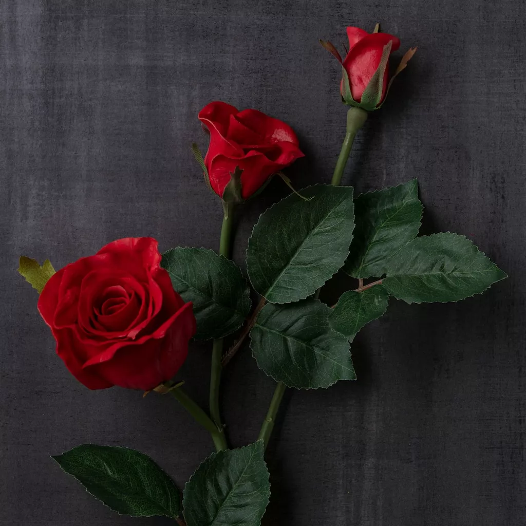 Deals 👏 6 Pack: Red Rose Spray by Ashland® 🛒 8 Deals 👏 6 Pack: Red Rose Spray by Ashland® 🛒 - Image 6